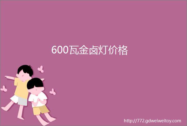 600瓦金卤灯价格